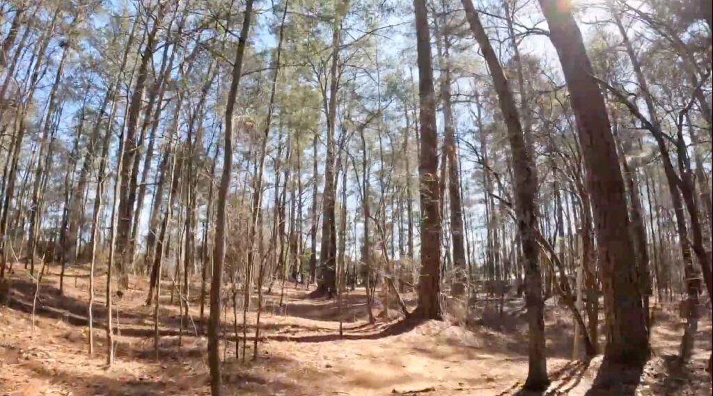 Roswell GA - Parks Trail System